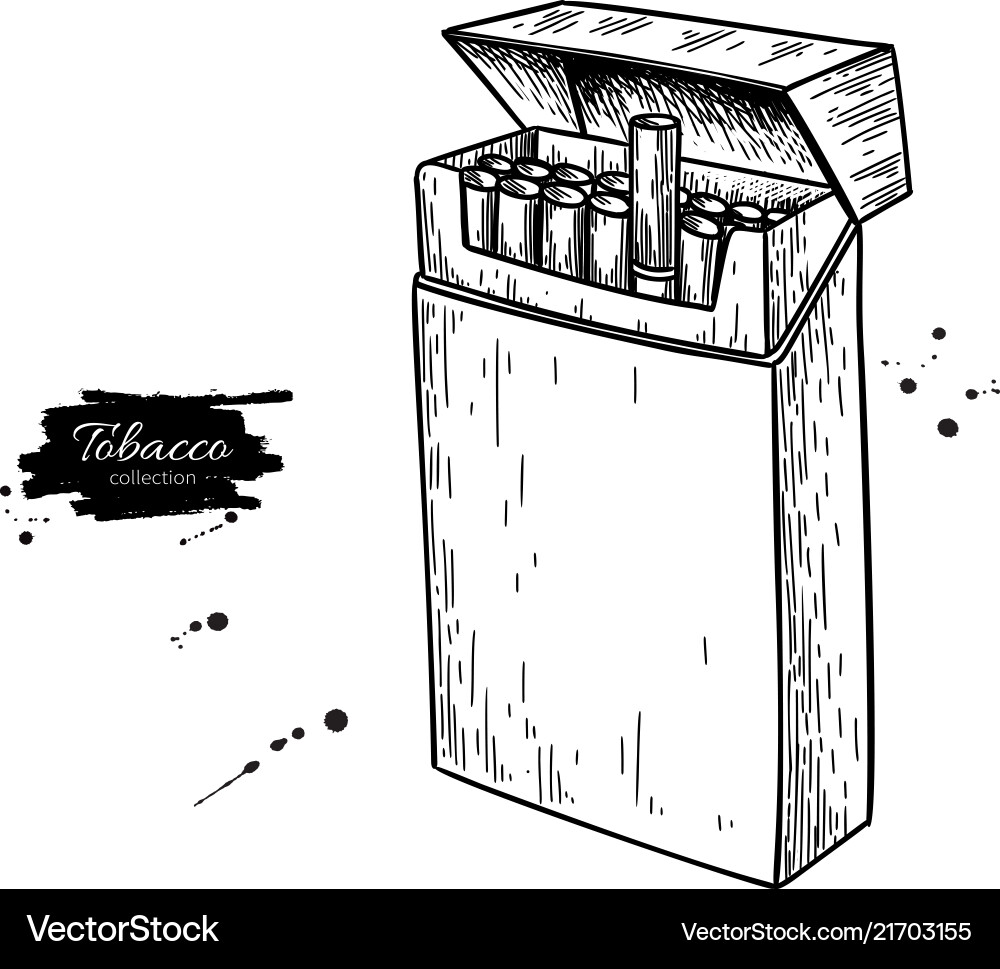 Cigarette pack drawing opened box sketch Cigarette pack drawing opened box sketch vector image
