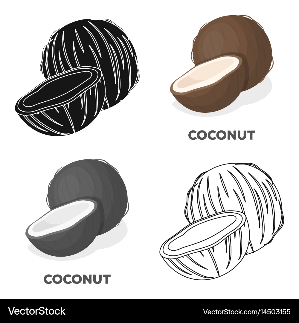 Coconatdifferent kinds of nuts single icon Vector Image