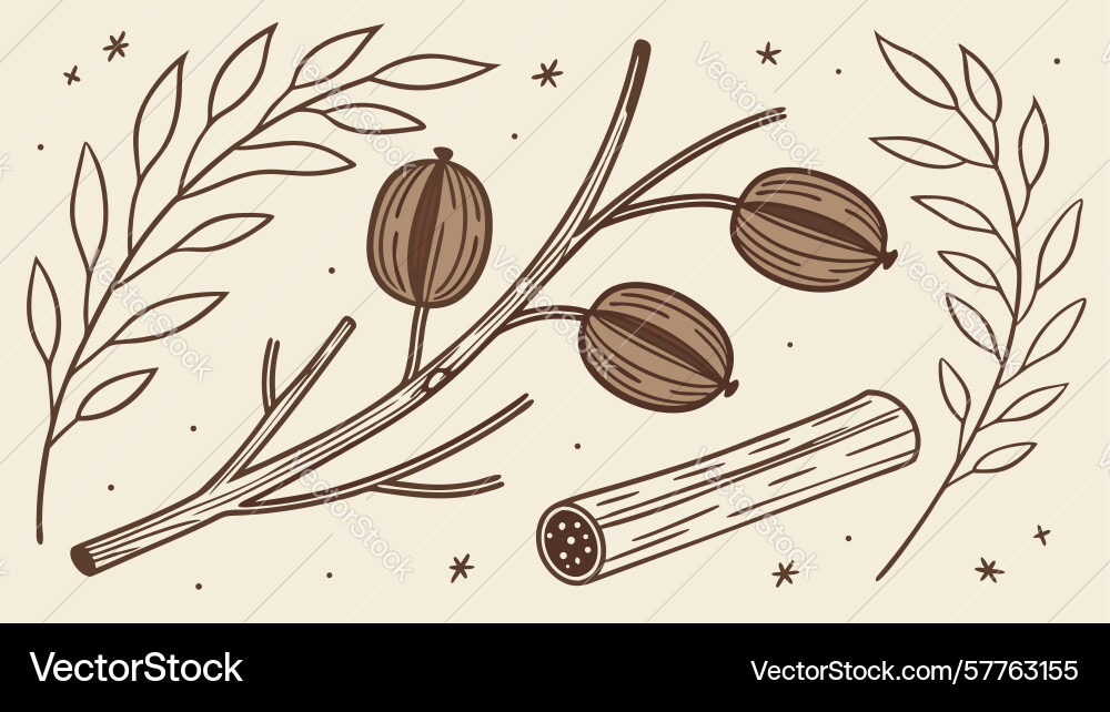 Natural element branch seeds log design Vector Image