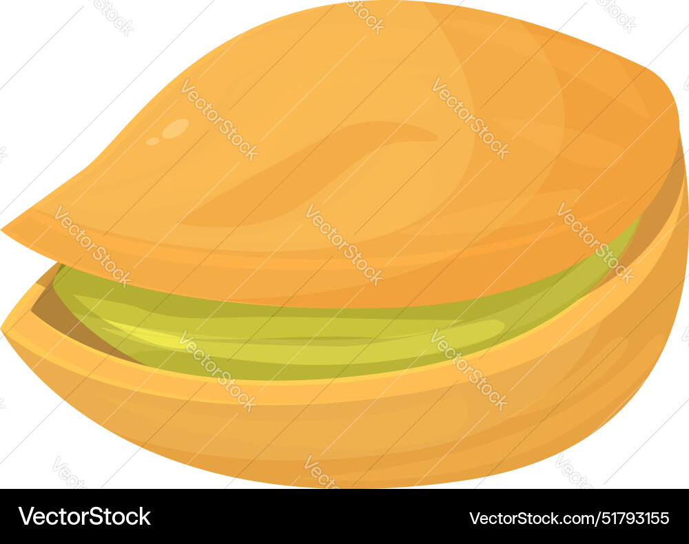 Single pistachio nut with opened shell showing Single pistachio nut with opened shell showing vector image