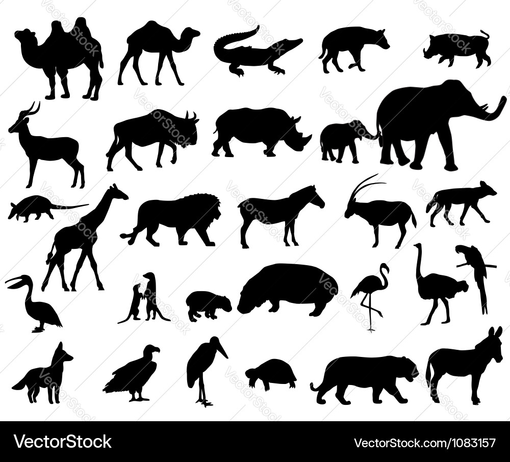 African Animal Silhouettes Vector Image