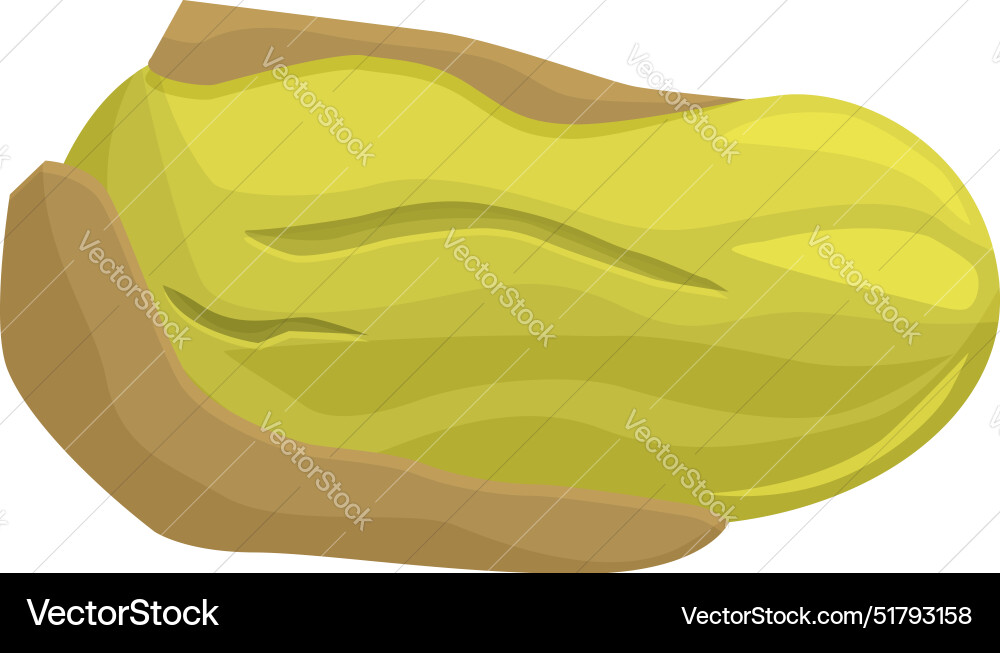 Pistachio nut with open shell lying horizontally Pistachio nut with open shell lying horizontally vector image