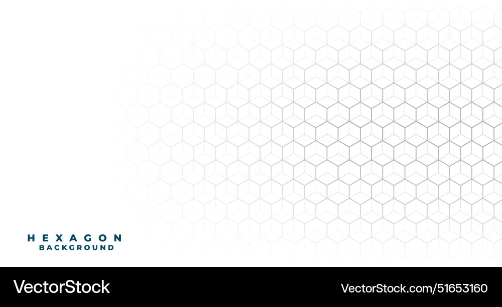 3d style modern hexagon stipe line white Vector Image