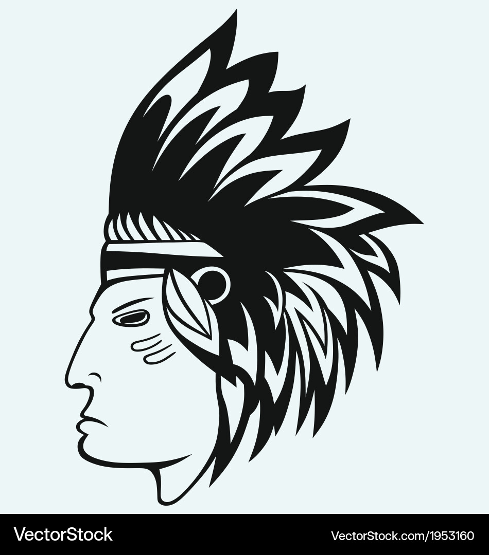 Portrait of american indian Vector Image