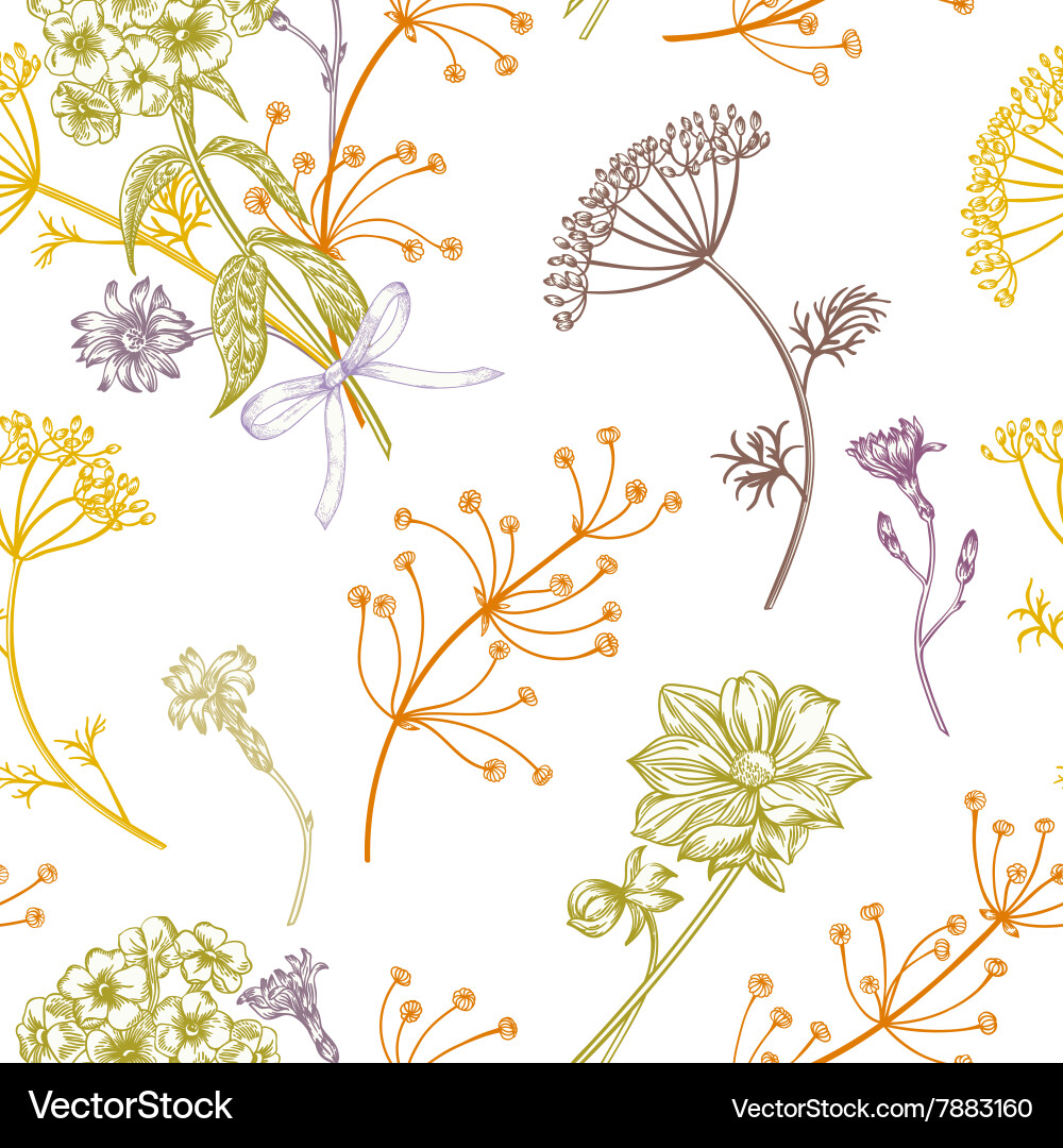 Vintage Herb Pattern Royalty Free Vector Image