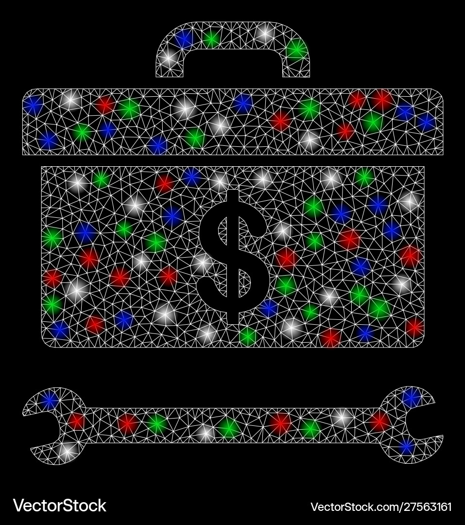 Bright mesh network dollar toolbox with flash Bright mesh network dollar toolbox with flash vector image