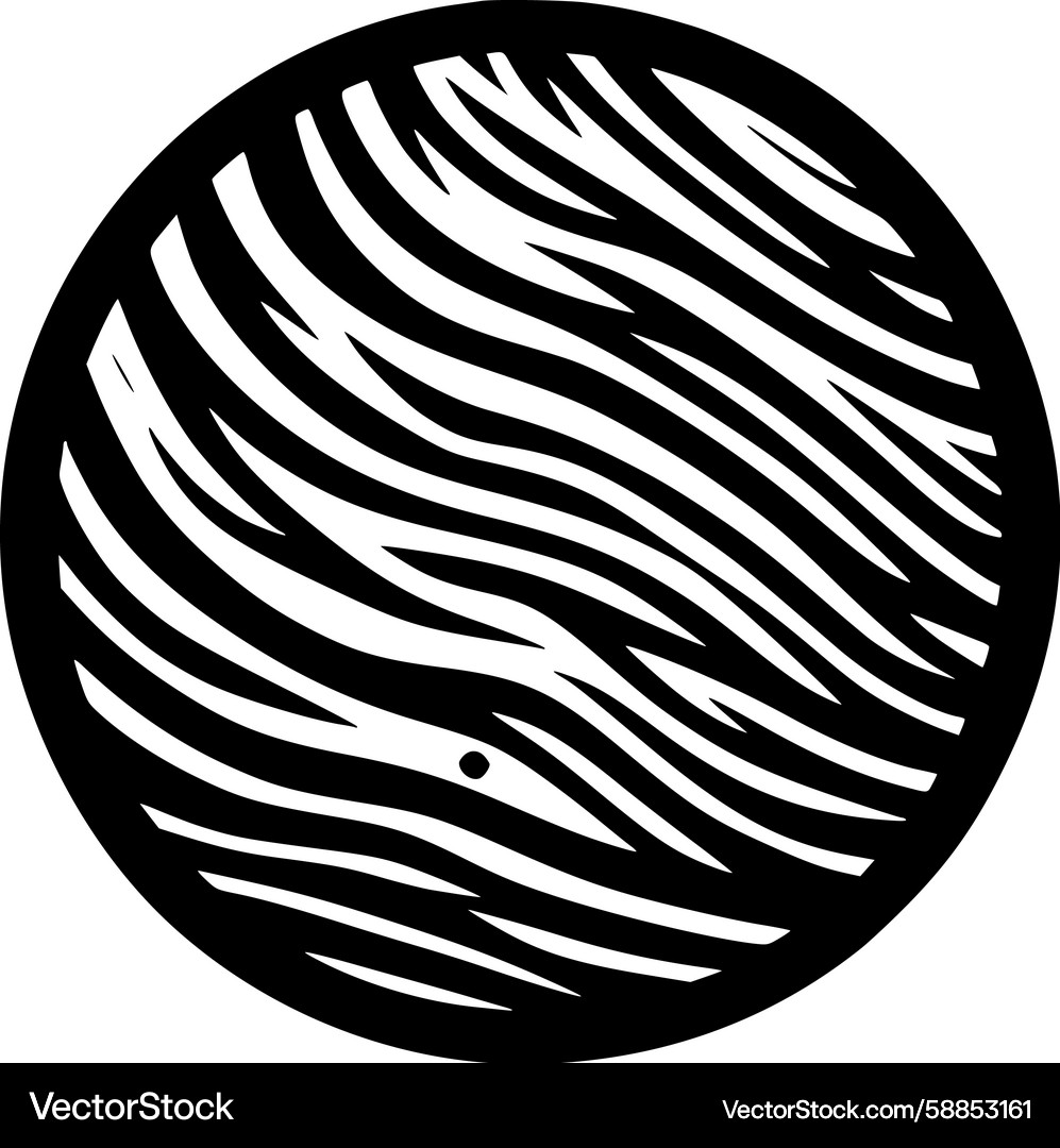 Zebra Stripe Circular Pattern Vector Image