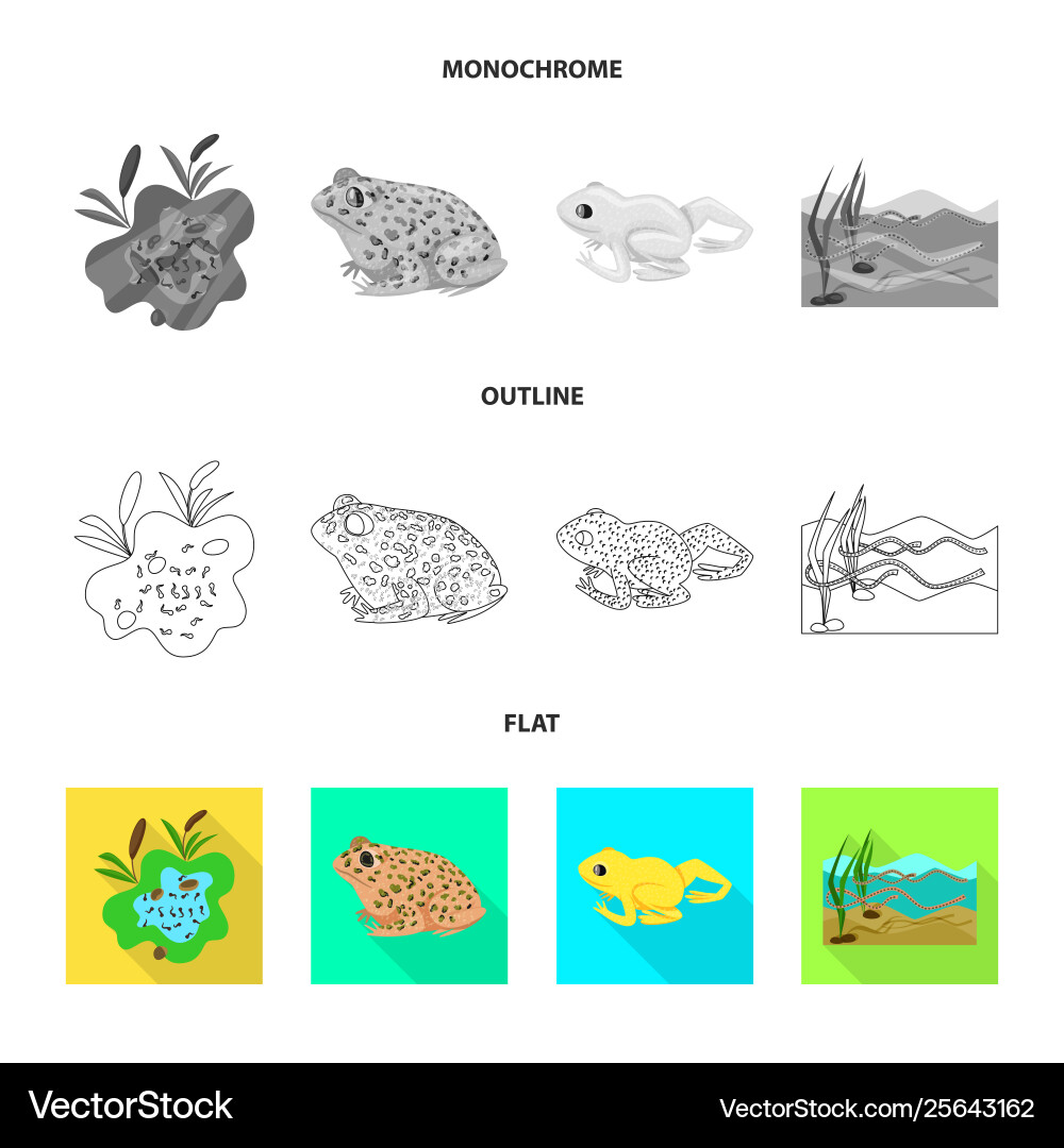 Isolated object wildlife and bog sign set Isolated object wildlife and bog sign set Vector Image