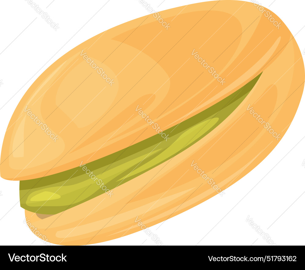 Single pistachio nut with open shell showing green Single pistachio nut with open shell showing green vector image