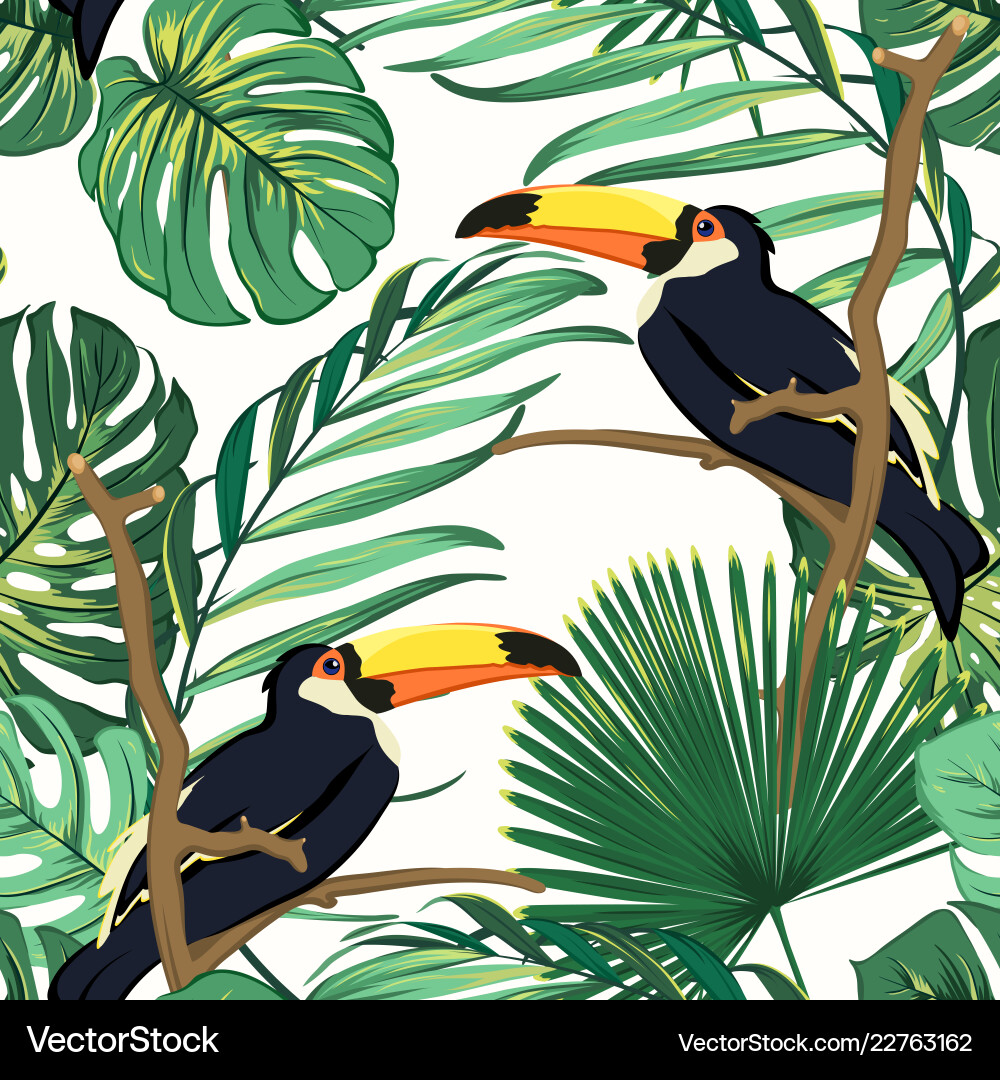 Toucan birds natural habitat in exotic tropical Toucan birds natural habitat in exotic tropical vector image