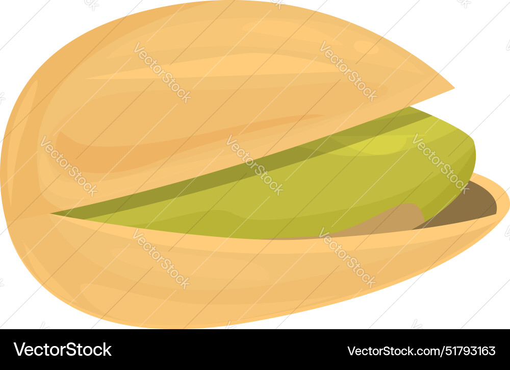 Single pistachio nut with open shell showing green Single pistachio nut with open shell showing green vector image