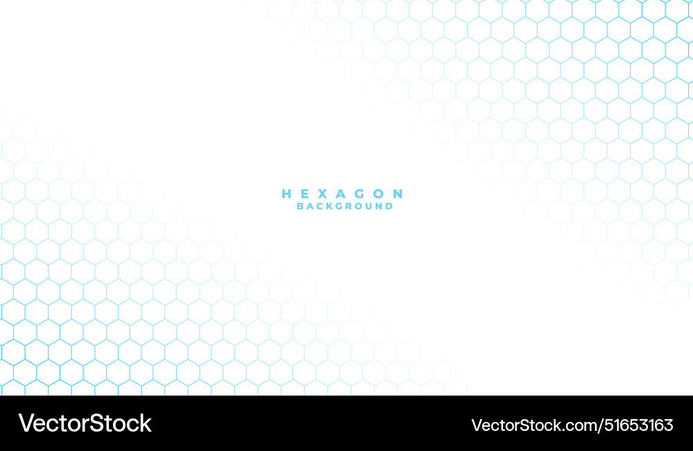 White Hexagonal Pattern Background vector image