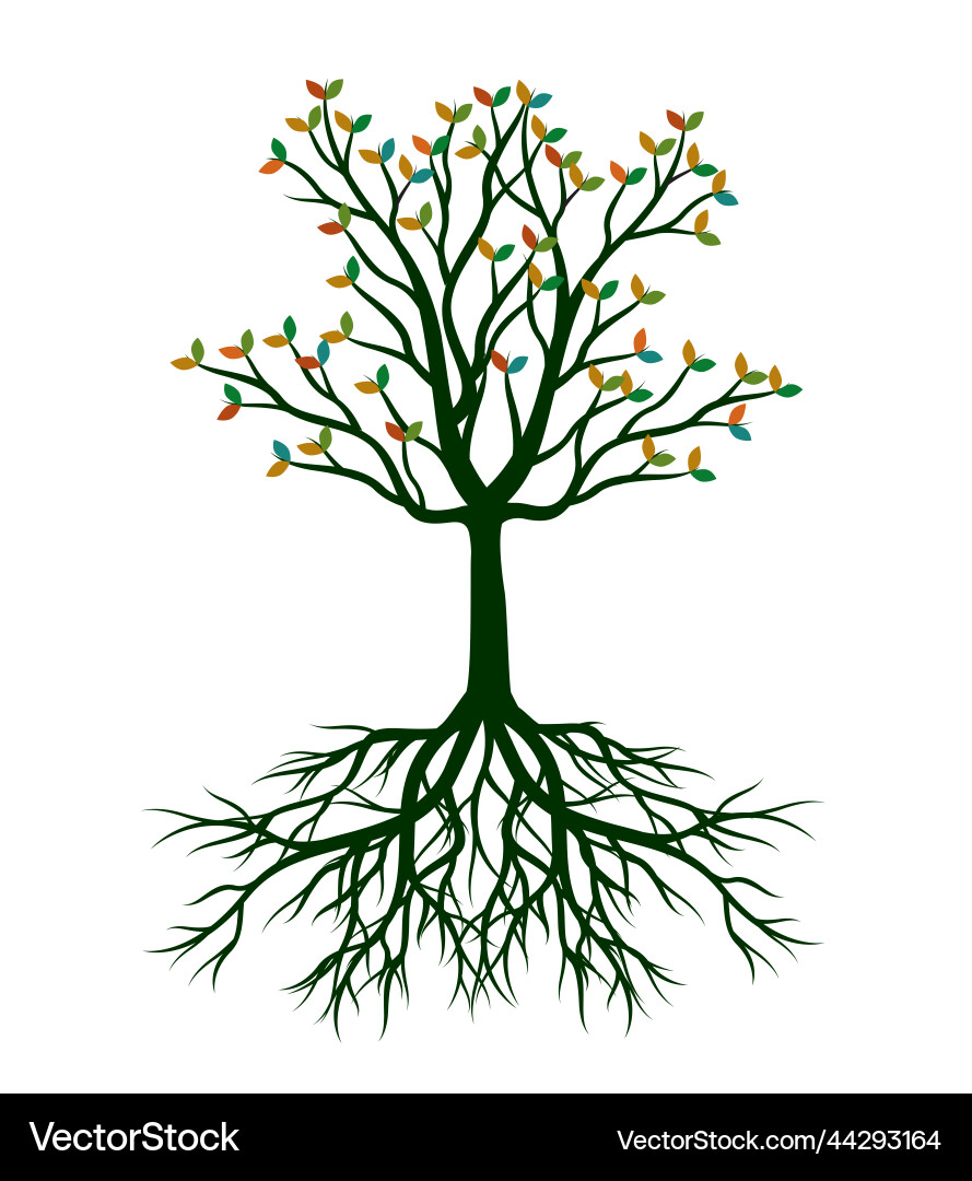 Autumn tree with leaves and roots outline Vector Image
