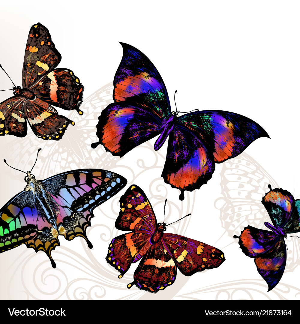 Butterfly background Royalty Free Vector Image