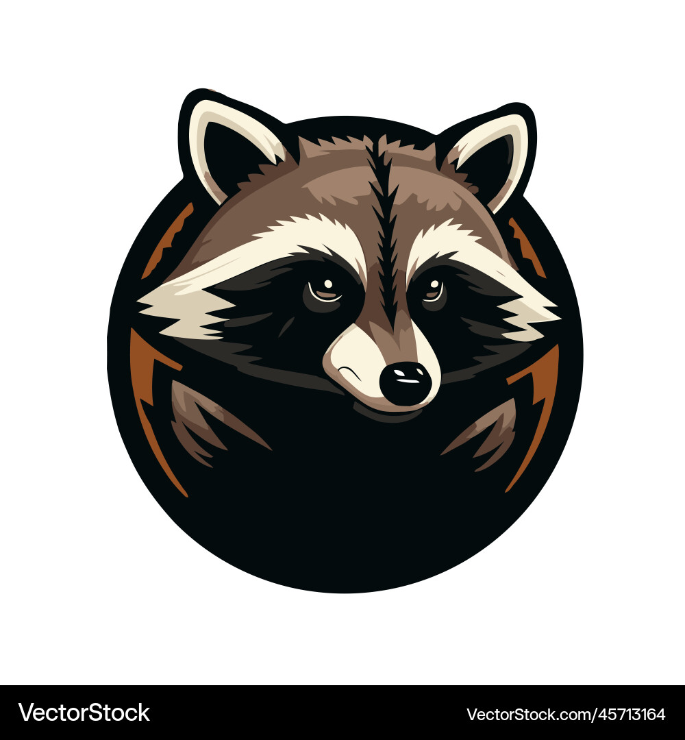 Raccoon Logo Design in flacher Farbvorlage Raccoon Logo Design in flacher Farbvorlage vektorbild