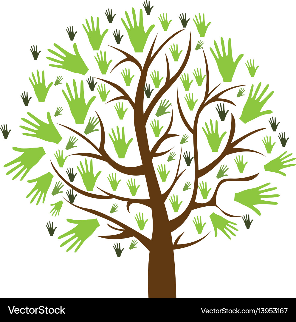 Color background of tree with leaves in shape Vector Image