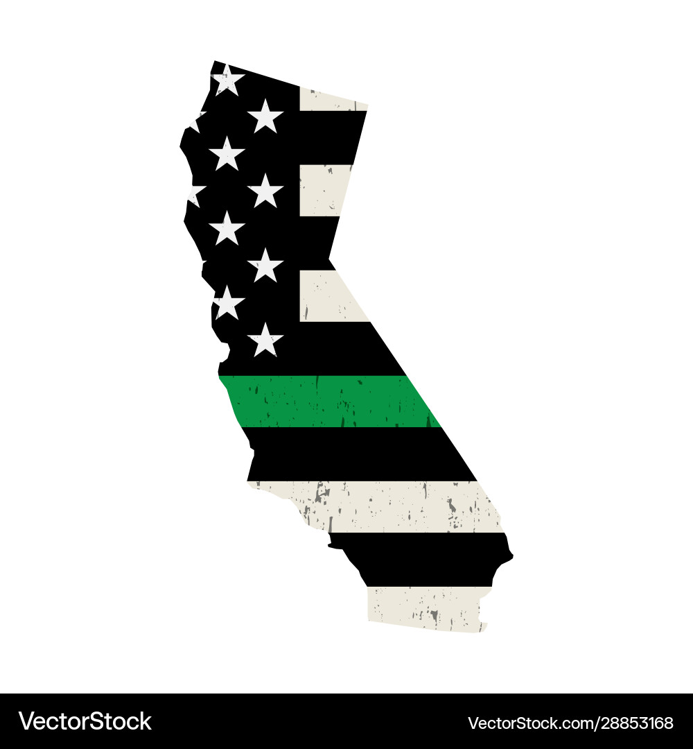California Military Support Flag Vector Image