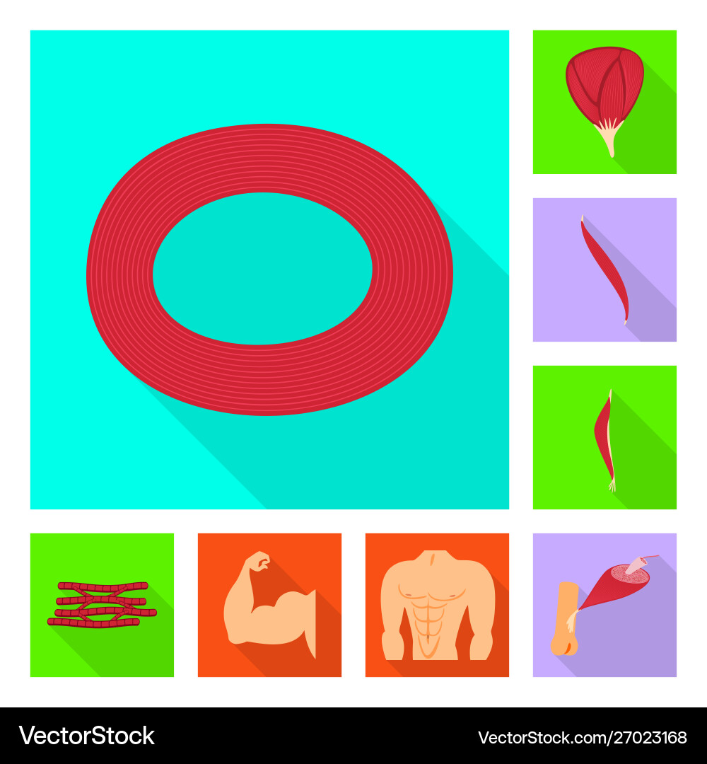 Isolated object muscle and cells symbol set Vector Image
