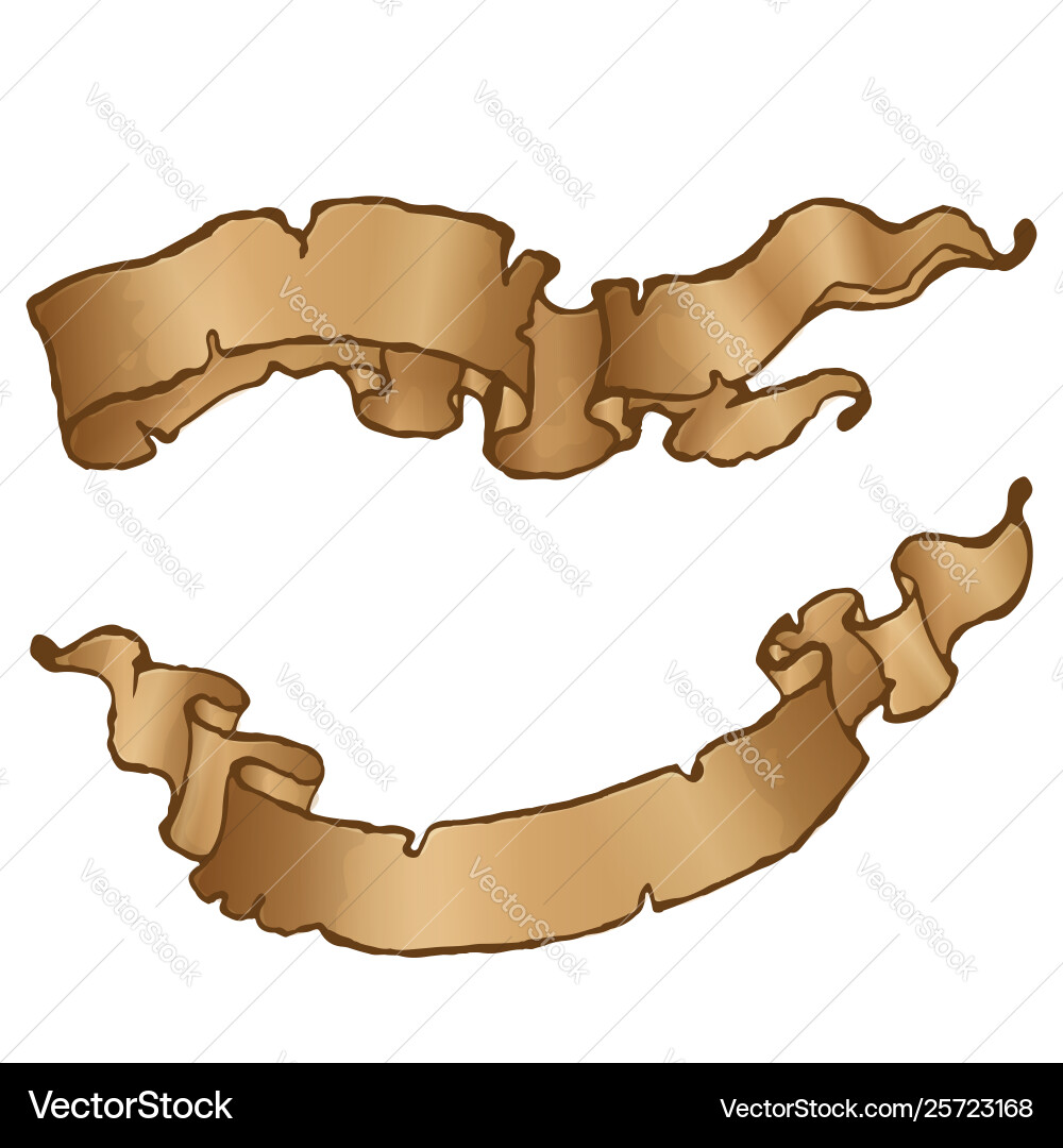 Old Rolled Parchment Scroll vector image