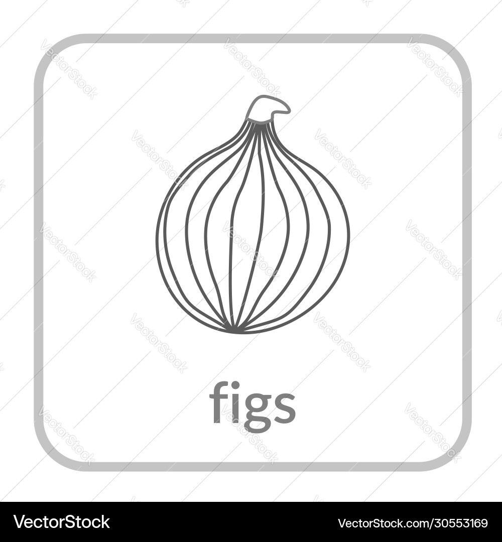 Figs icon gray outline flat sign isolated white Figs icon gray outline flat sign isolated white vector image