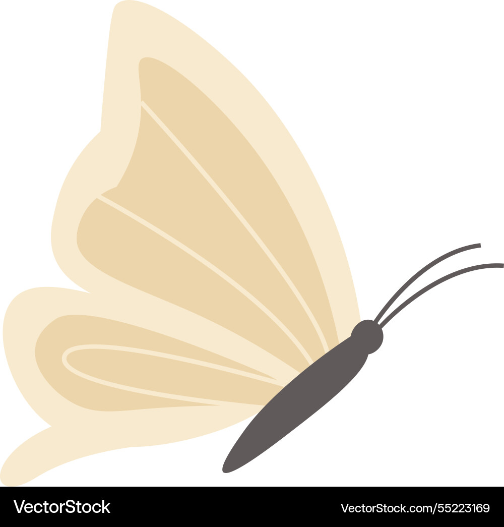 Hand drawn butterfly Royalty Free Vector Image