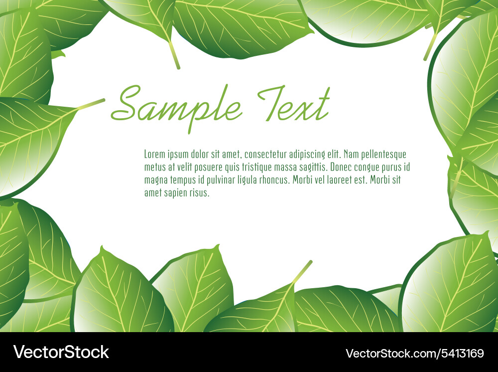 Leaf frame Vector Image