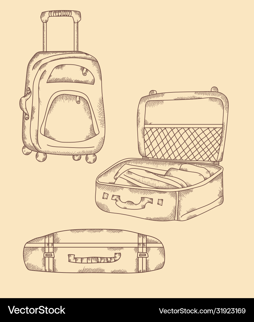 Travel stuff different types suitcase open Vector Image