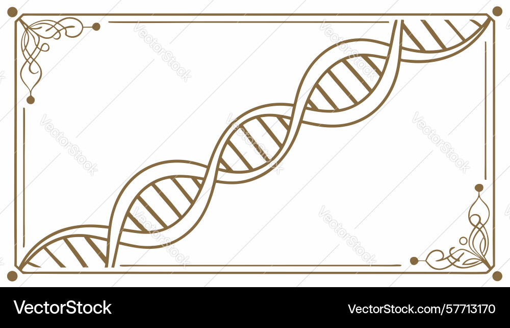 Dna helix pattern frame science genetics design vector image