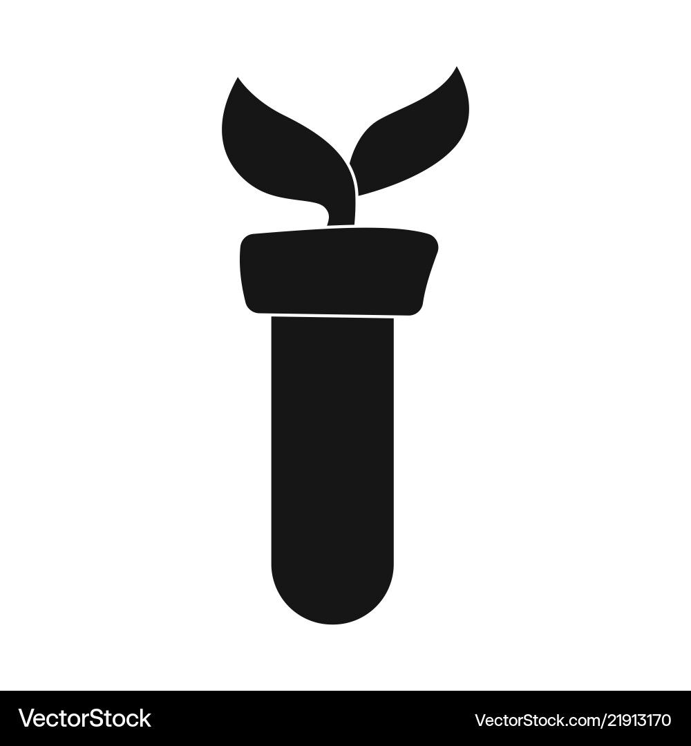 Isolated object of and icon collection vector image