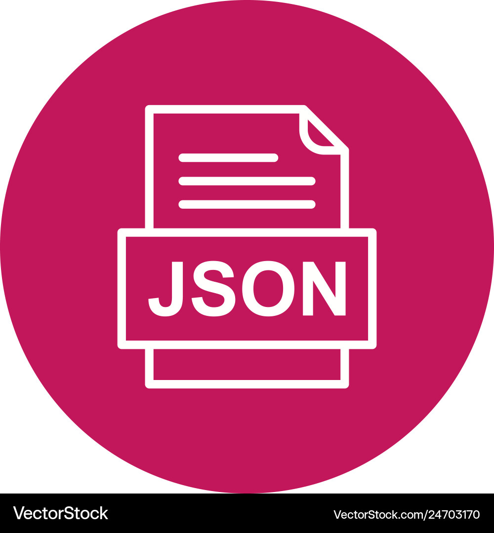 Json file document icon vector image