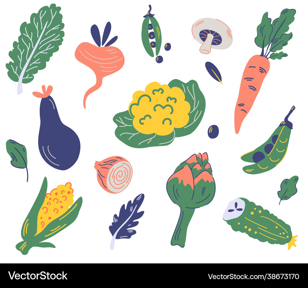 Set vegetables cauliflower lettuce eggplant Vector Image