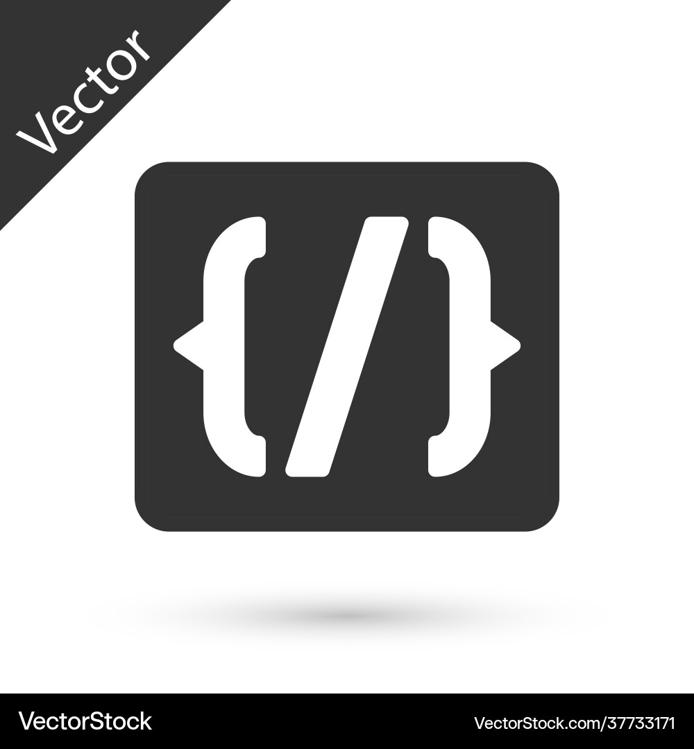 Graue Programmiersprache Syntax-Symbol isoliert Graue Programmiersprache Syntax-Symbol isoliert vektorbild
