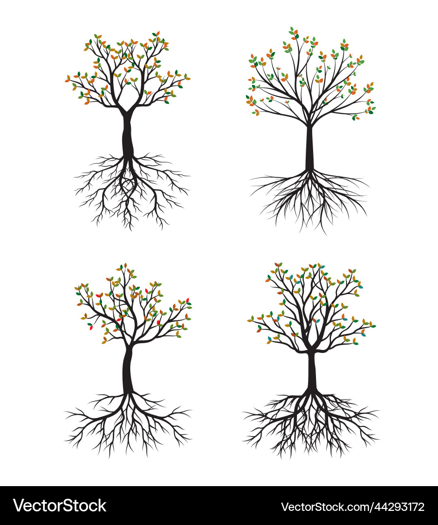 Set of autumn tree with roots outline Set of autumn tree with roots outline vector image