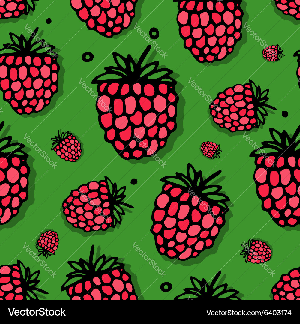 Raspberry seamless pattern for your design Vector Image