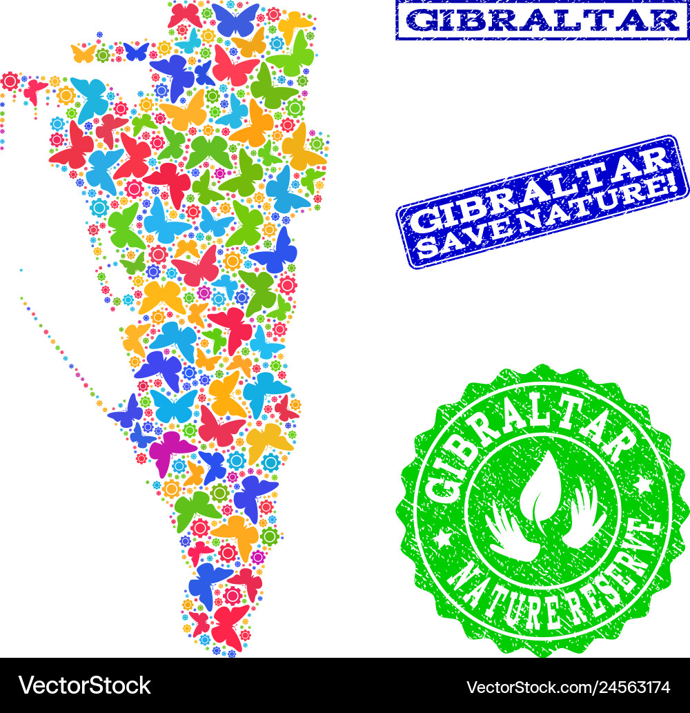 Save nature composition map gibraltar Vector Image