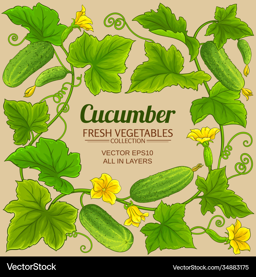Cucumber frame vector image