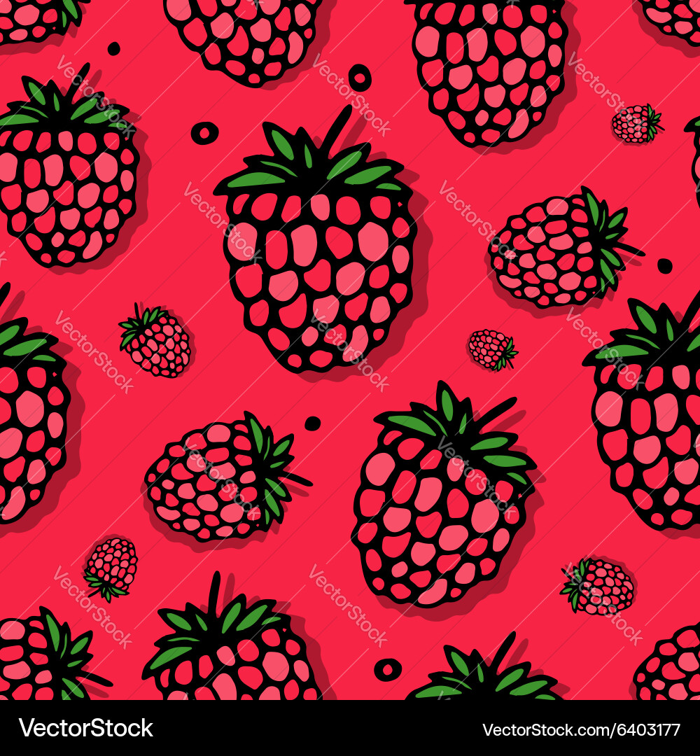 Raspberry seamless pattern for your design vector image