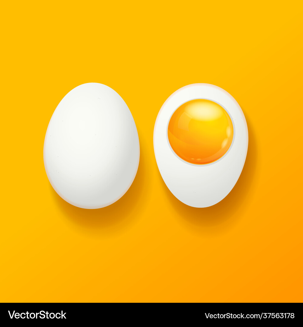 Realistic detailed 3d whole chicken egg and half Realistic detailed 3d whole chicken egg and half vector image