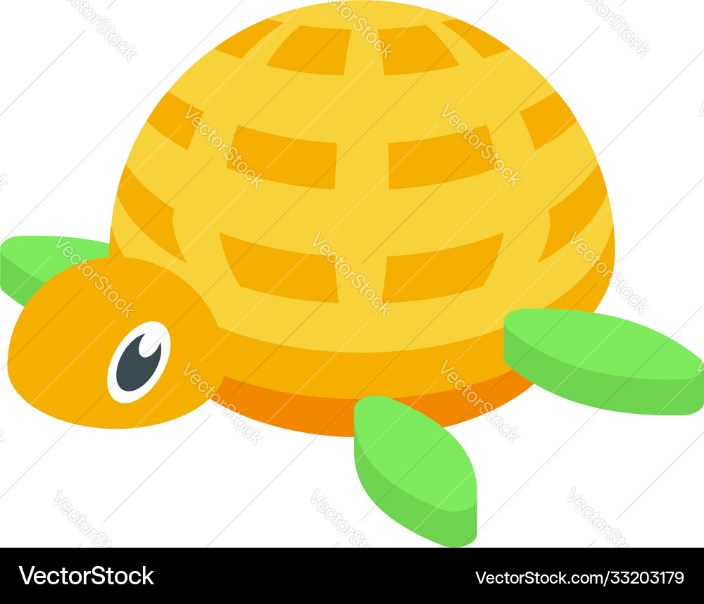 Turtle bath toy icon isometric style Turtle bath toy icon isometric style vector image