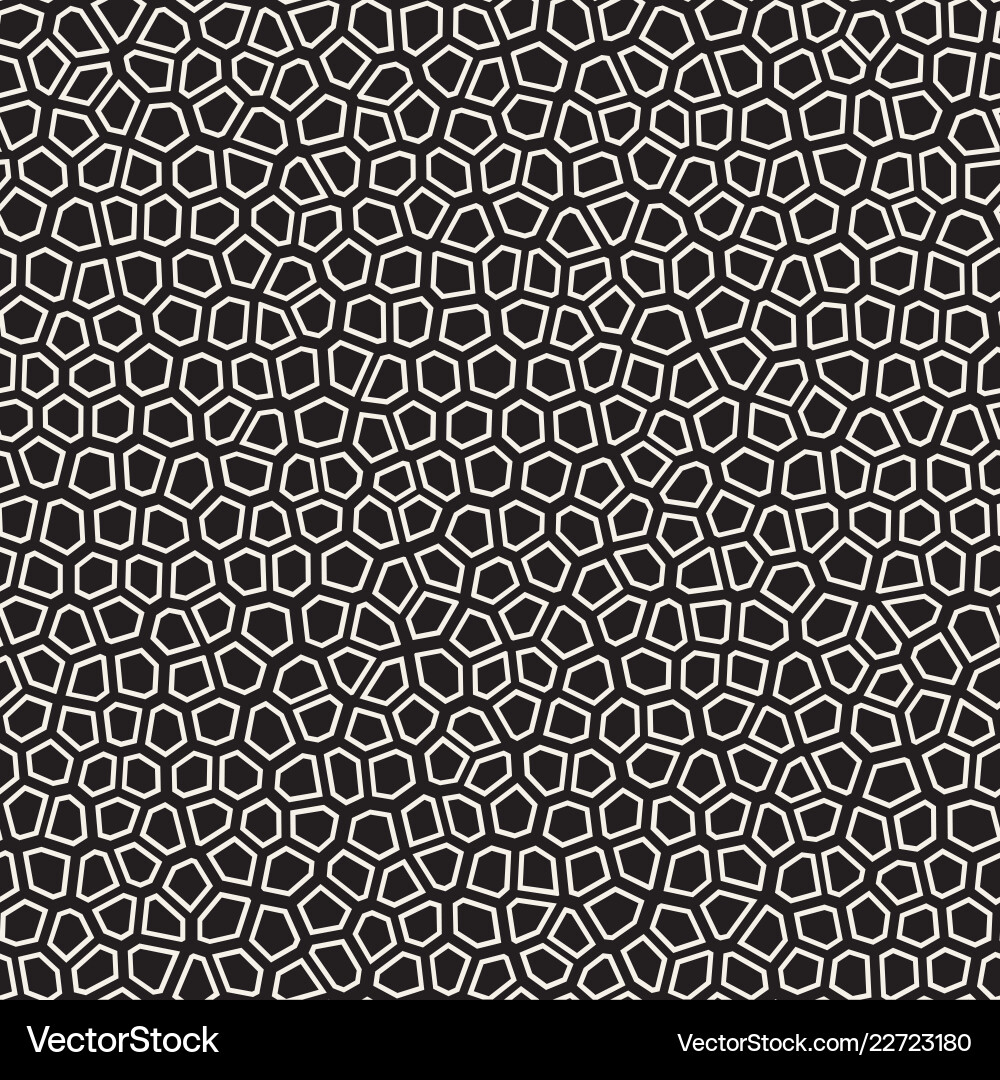Irregular Mosaic Pattern vector image