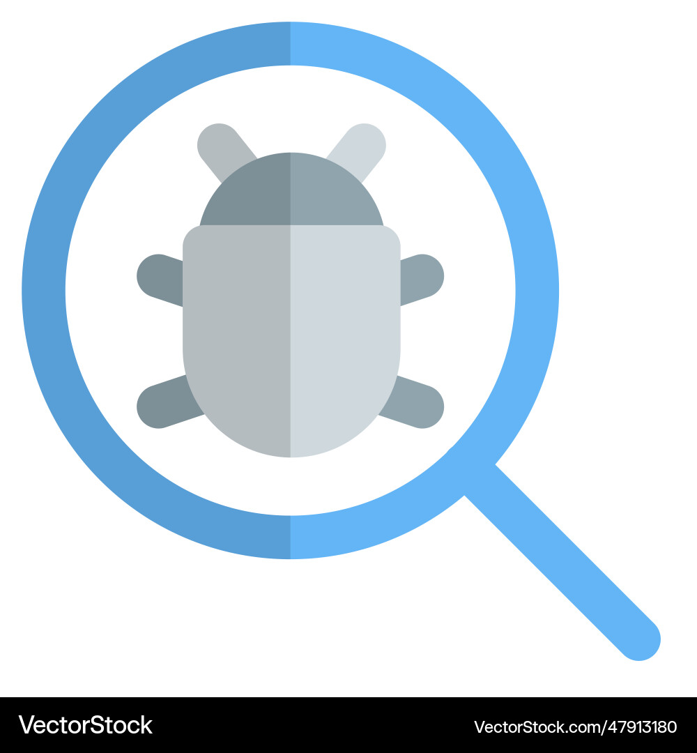 Software bugs found in the system vector image