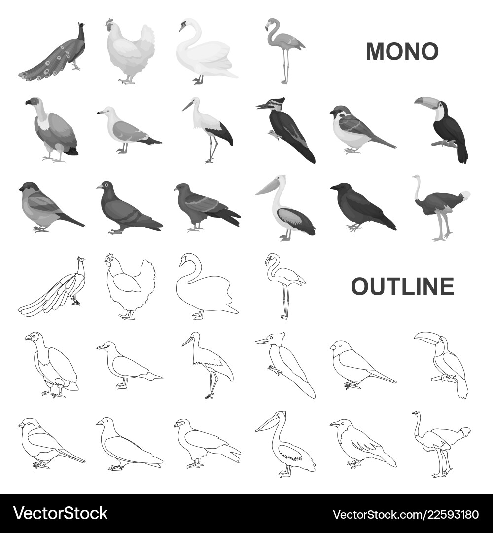 Types of birds monochrom icons in set collection Types of birds monochrom icons in set collection vector image