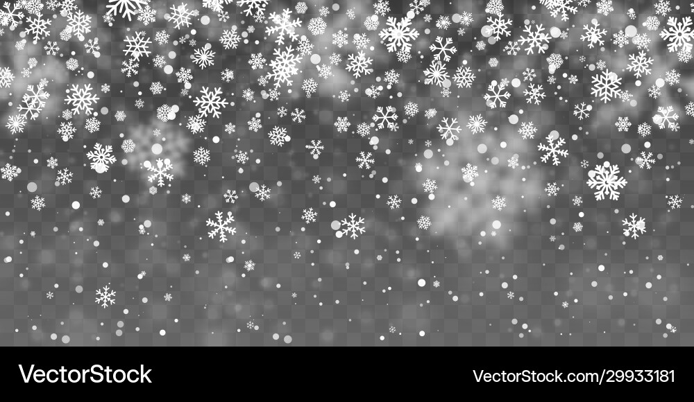 Christmas snow falling snowflakes on transparent Christmas snow falling snowflakes on transparent vector image