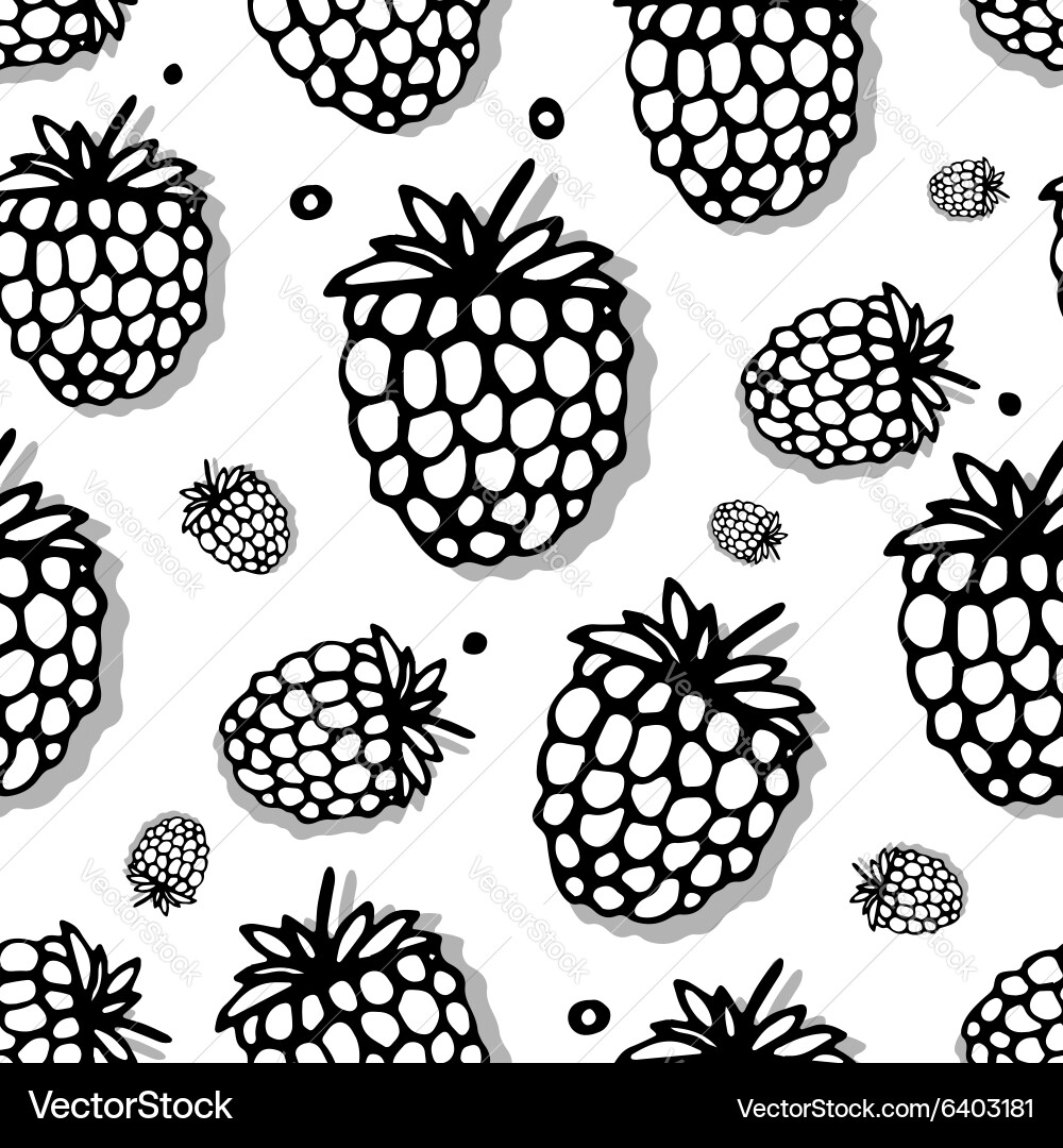 Raspberry seamless pattern for your design vector image