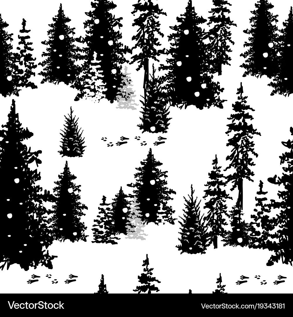 Seamless pattern with silhouettes of trees Vector Image