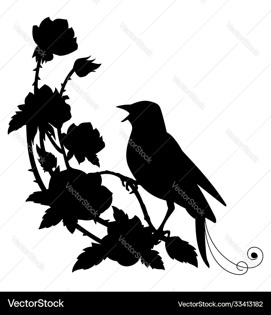 Black silhouette nightingale and flower Black silhouette nightingale and flower vector image