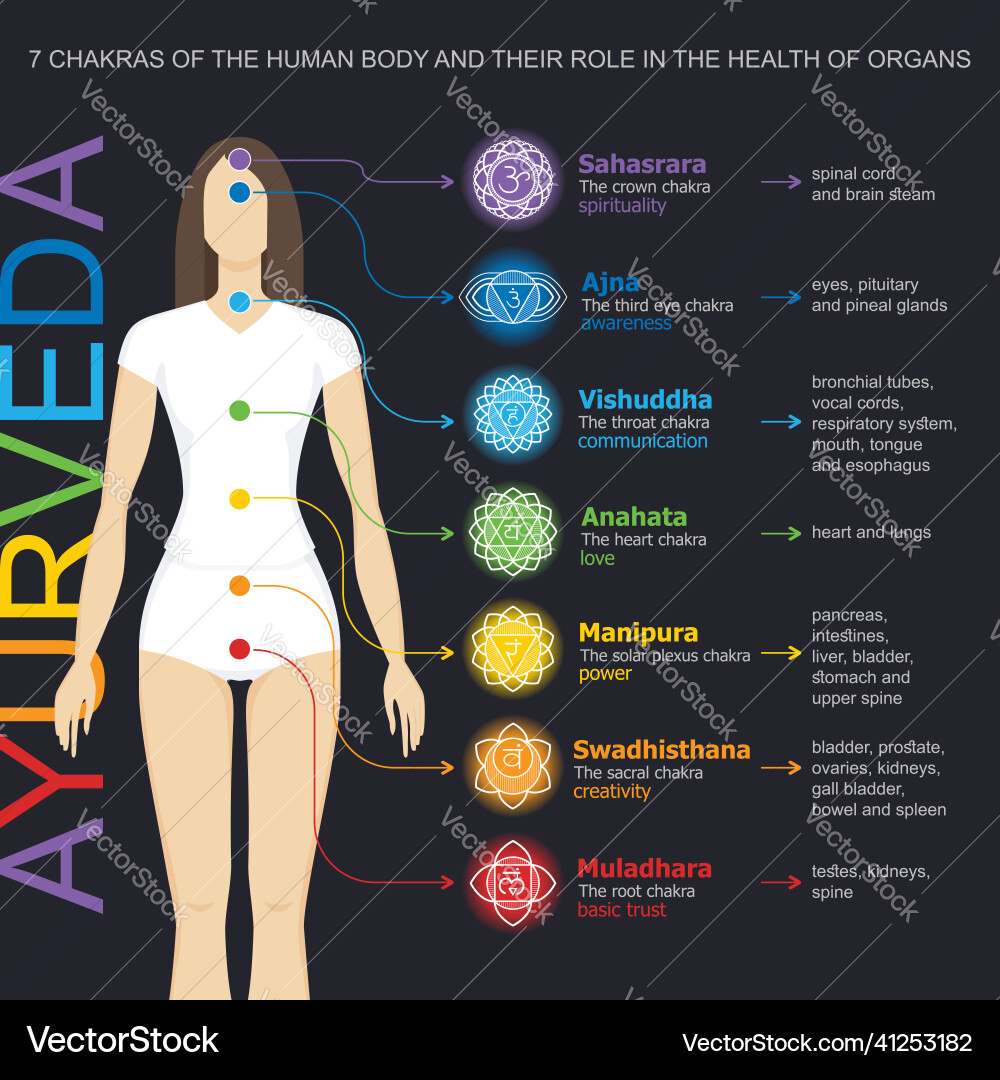 Chakras System mit Drüsen Chakras System mit Drüsen vektorbild