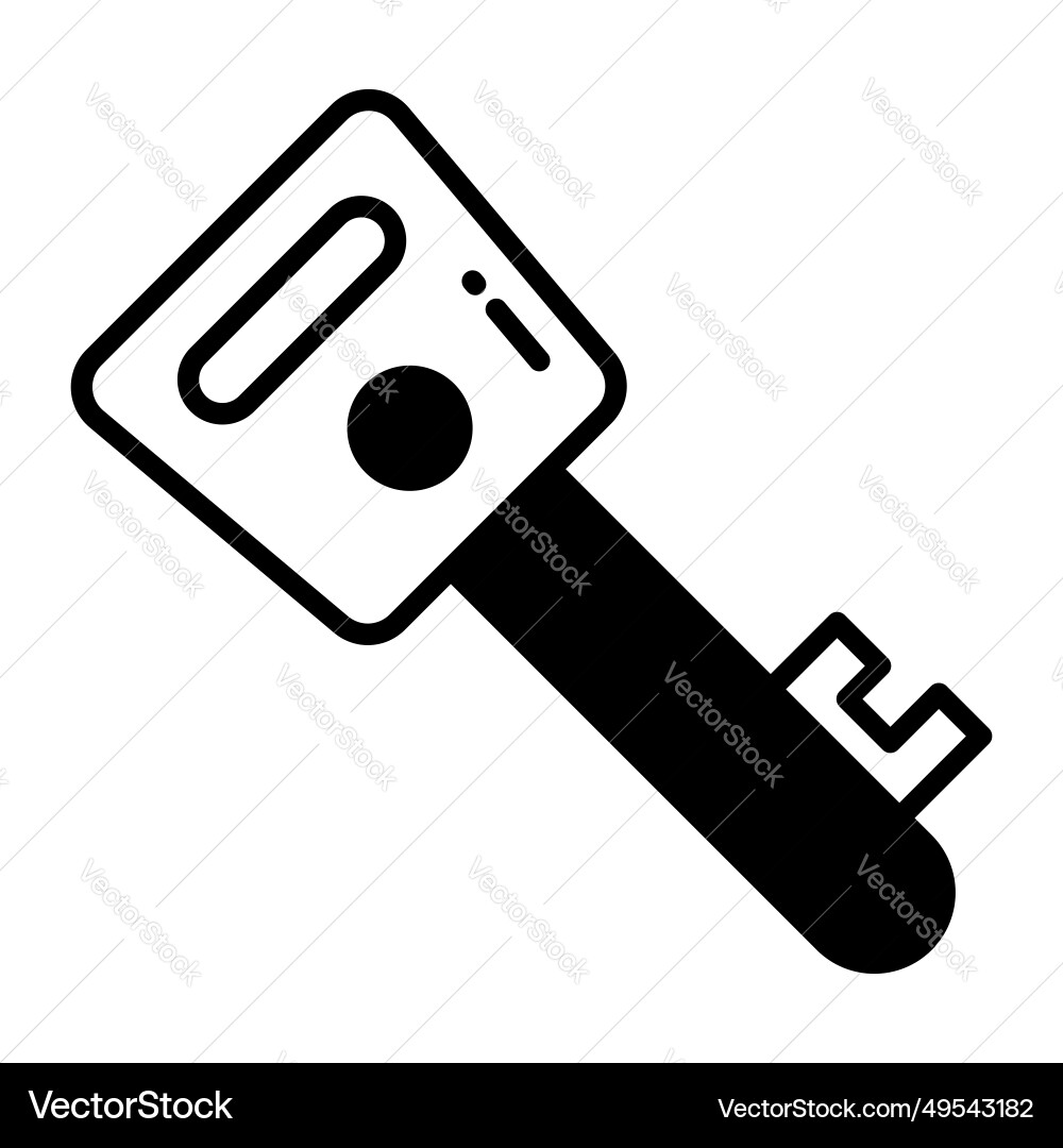 Encrypted key design in modern style easy to use Vector Image