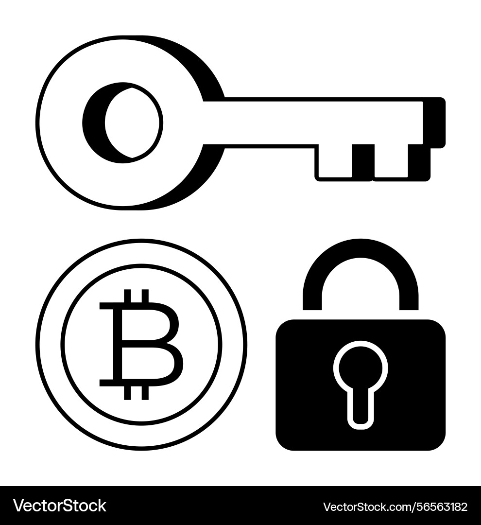 Key lock and bitcoin circle depicting security vector image