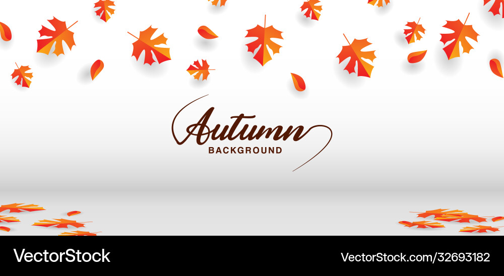 Layout design autumn template background Vector Image